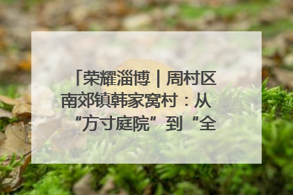 荣耀淄博｜周村区南郊镇韩家窝村：从“方寸庭院”到“全域文明”，乡村振兴的“美学革命”